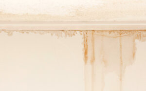 plumbing mould on wall