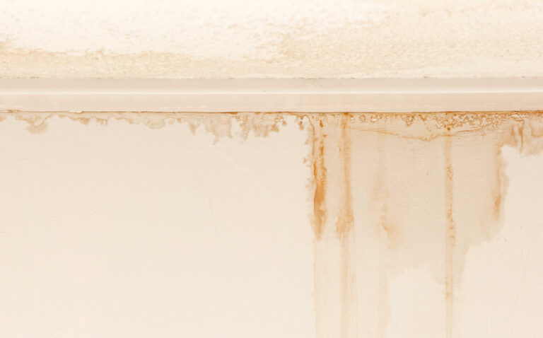 plumbing mould on wall