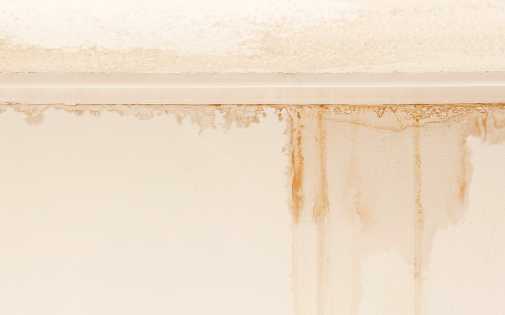 plumbing mould on wall